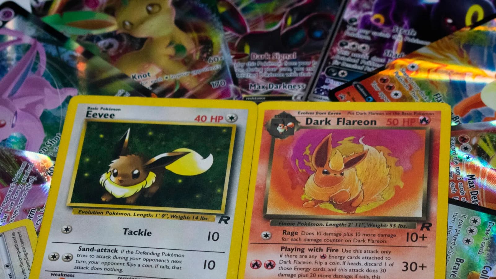 Five trading cards in clear sleeves laid out in a row on linen, on the oak desk, seen from a low angle so that the light reveals the surface. No readable text.